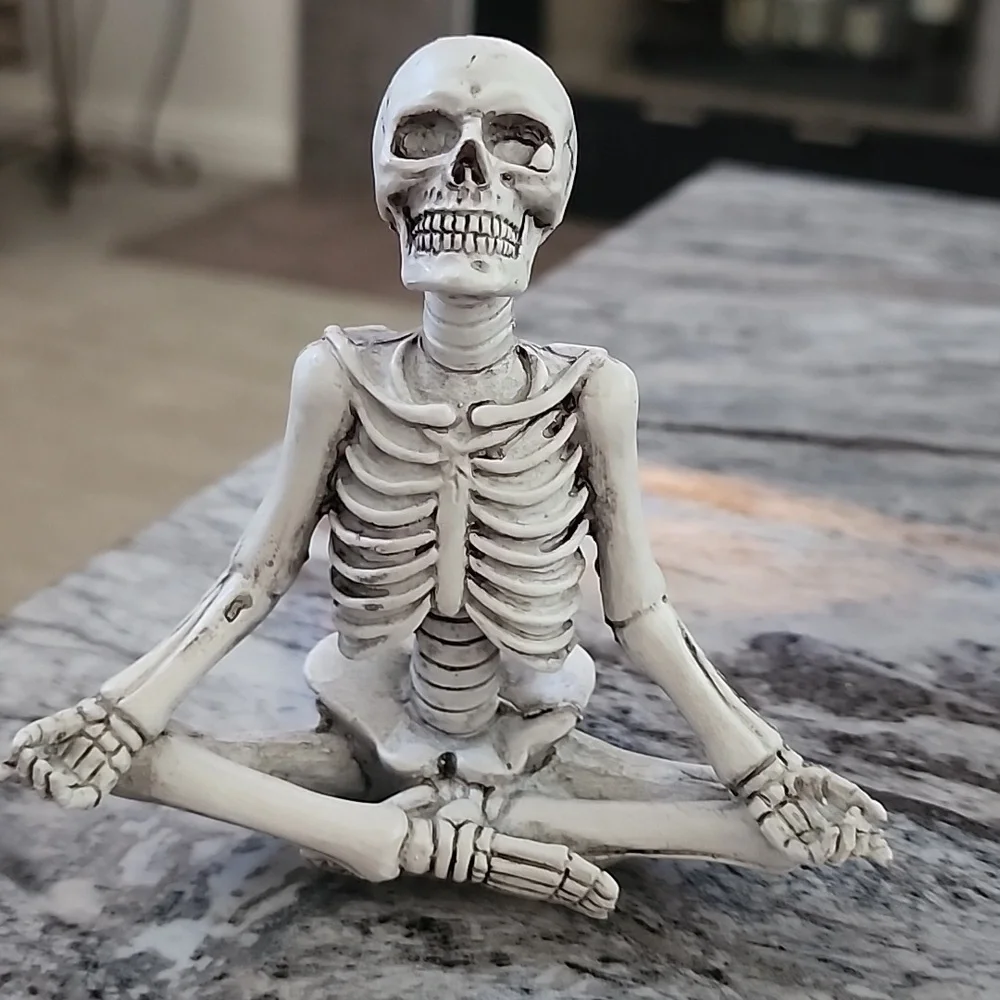 Trader Joe's Yoga Skeletons Set Of 3